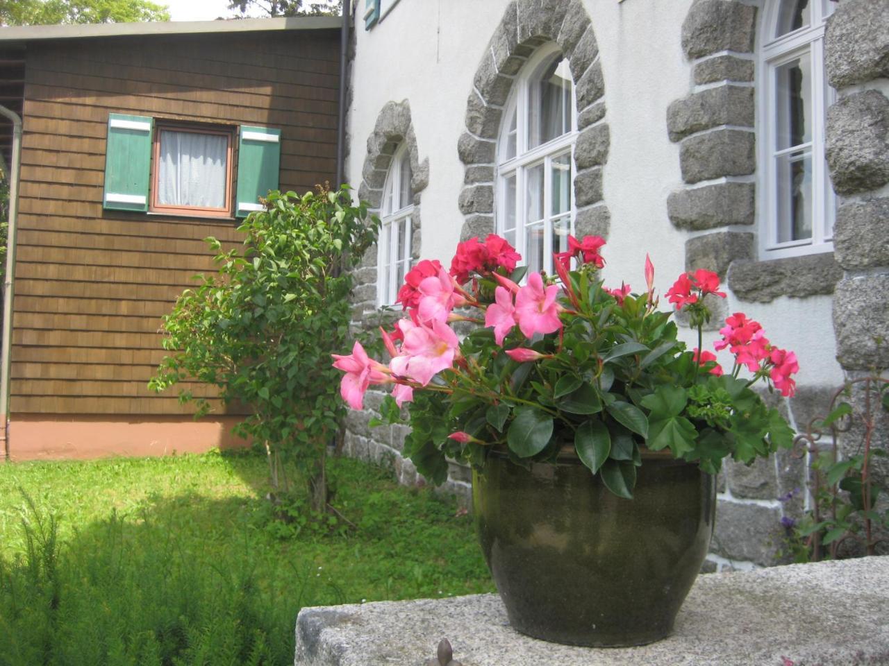 Gasthof Pension Strohmaier Haidmühle Esterno foto